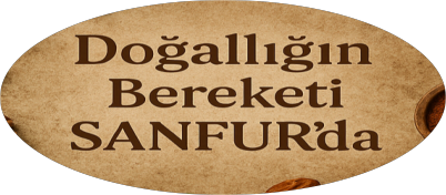 sanfurgıda
